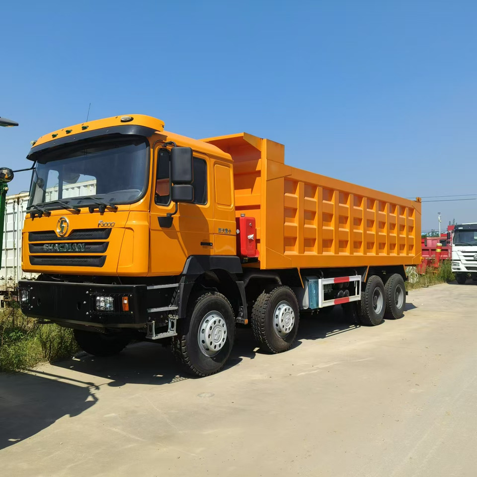 SHACMAN F3000 8*4 Dump truck - Kipper: das Bild 1 SHACMAN F3000 8*4 Dump truck - Kipper: das Bild 1