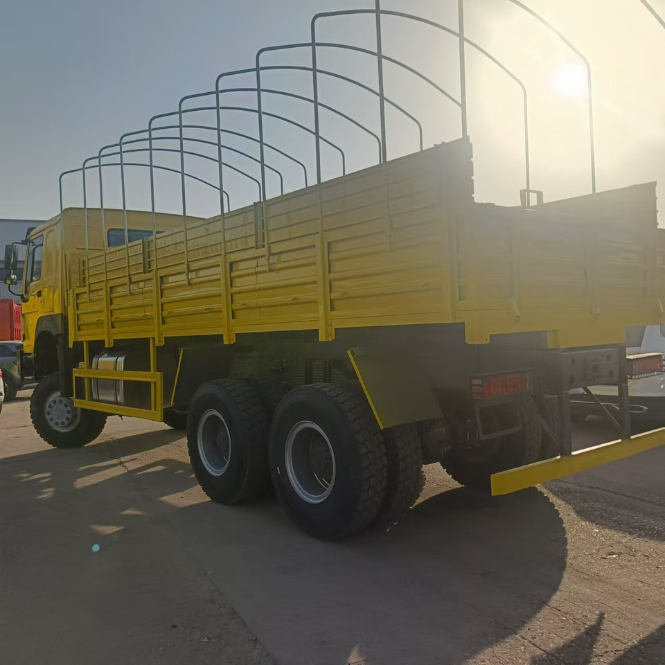 Pritsche LKW Sinotruk HOWO 6*4 Troop Carrier: das Bild 8