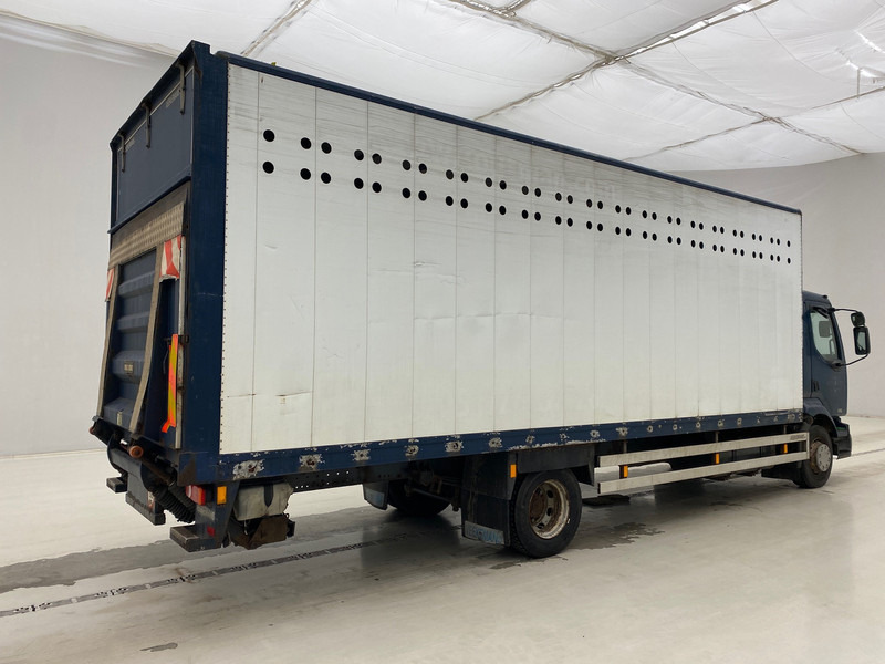 Renault Midlum 220 DCi* - Koffer LKW: das Bild 4 Renault Midlum 220 DCi* - Koffer LKW: das Bild 4