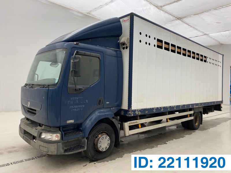 Renault Midlum 220 DCi* - Koffer LKW: das Bild 1 Renault Midlum 220 DCi* - Koffer LKW: das Bild 1