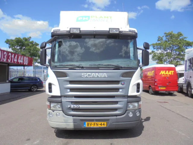 Scania P230 NL TRUCK - Koffer LKW: das Bild 2 Scania P230 NL TRUCK - Koffer LKW: das Bild 2