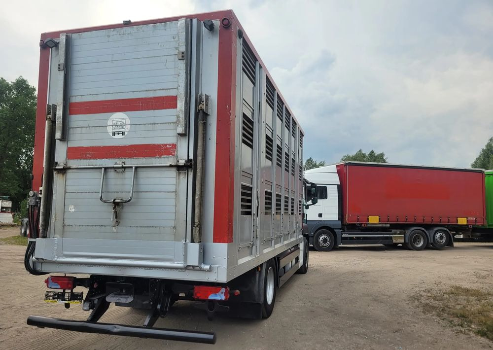 MAN TGS 18.400 Euro 6 do żywca - Tiertransporter LKW: das Bild 4 MAN TGS 18.400 Euro 6 do żywca - Tiertransporter LKW: das Bild 4