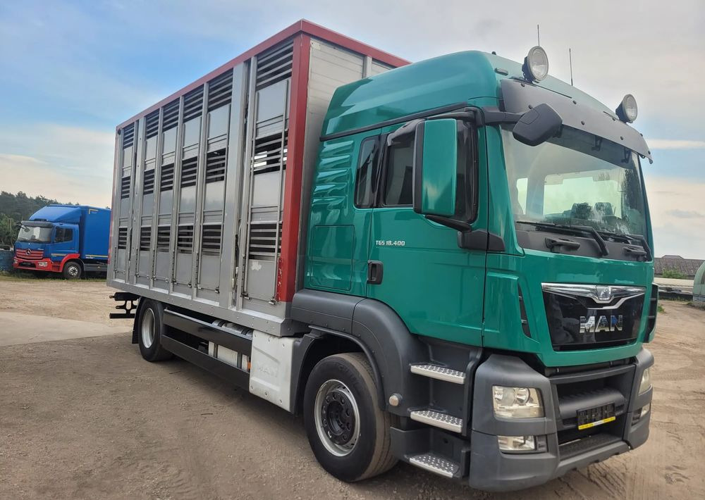 MAN TGS 18.400 Euro 6 do żywca - Tiertransporter LKW: das Bild 2 MAN TGS 18.400 Euro 6 do żywca - Tiertransporter LKW: das Bild 2