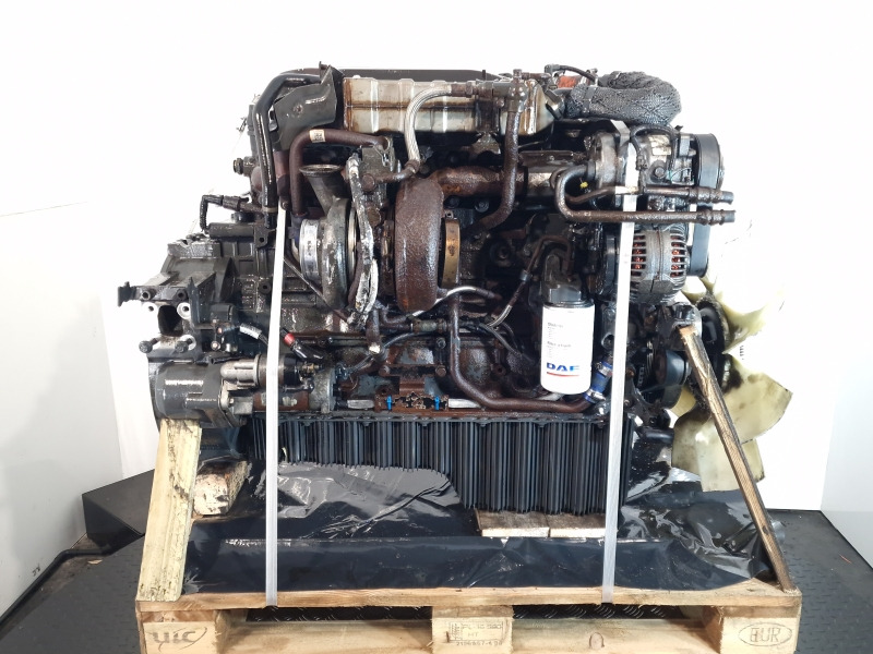 DAF PX-7 184 Engine (Truck) - Motor für LKW: das Bild 4 DAF PX-7 184 Engine (Truck) - Motor für LKW: das Bild 4