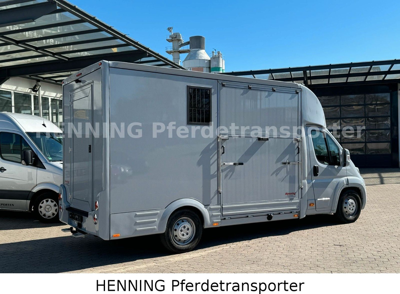 Citroën Jumper 3 - Sitzer *AUFBAU NEU* - Pferdetransporter: das Bild 3 Citroën Jumper 3 - Sitzer *AUFBAU NEU* - Pferdetransporter: das Bild 3