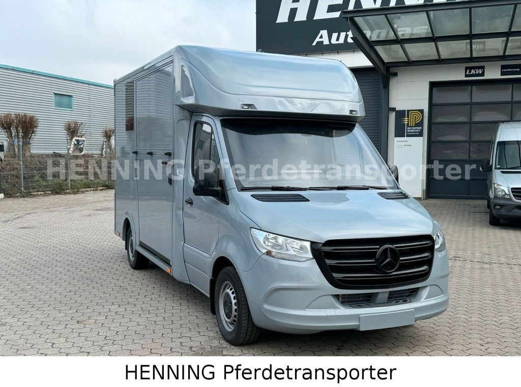 Mercedes-Benz Sprinter 3 - Sitzer *NEUFAHRZEUG* - Pferdetransporter: das Bild 2 Mercedes-Benz Sprinter 3 - Sitzer *NEUFAHRZEUG* - Pferdetransporter: das Bild 2