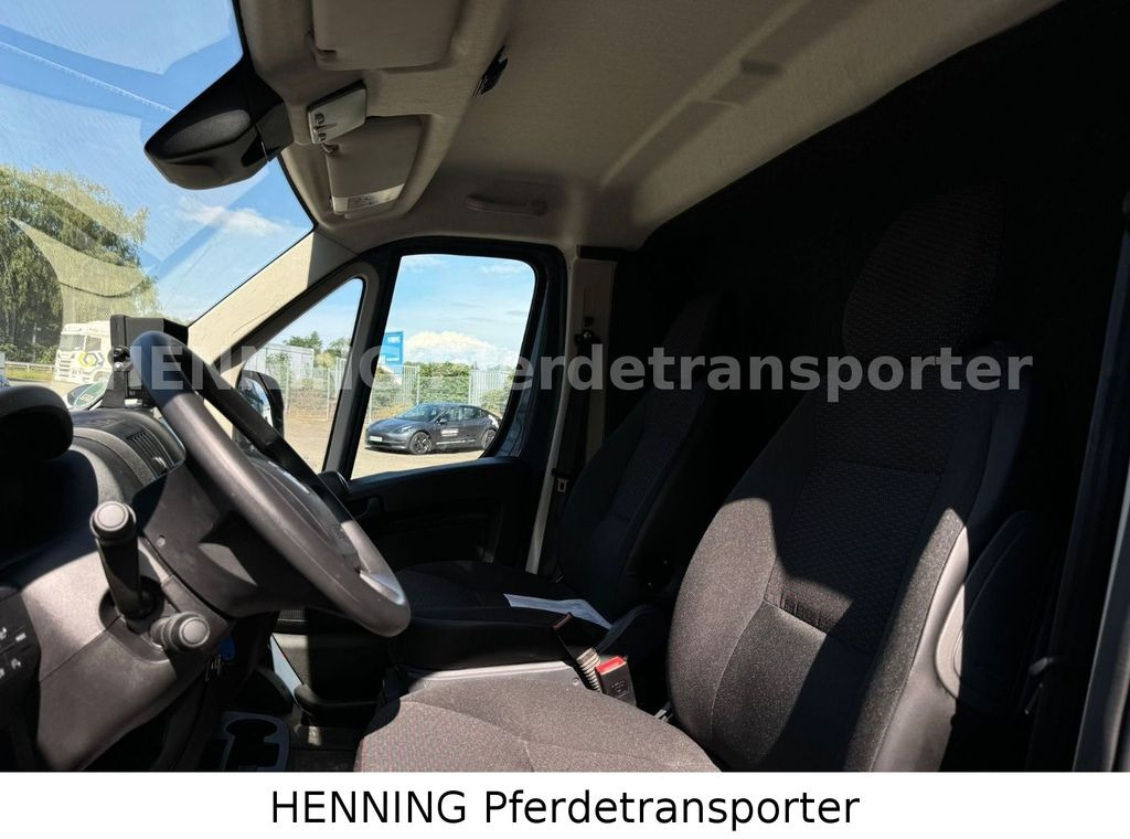 Pferdetransporter Opel Movano 3 - Sitzer *AUFBAU NEU*: das Bild 11