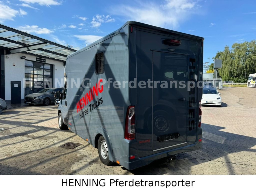 Pferdetransporter Opel Movano 3 - Sitzer *AUFBAU NEU*: das Bild 8