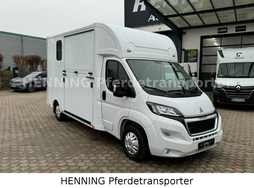 Peugeot Boxer *NEUWAGEN* ca. 1.200kg Nutzlast - Pferdetransporter: das Bild 2 Peugeot Boxer *NEUWAGEN* ca. 1.200kg Nutzlast - Pferdetransporter: das Bild 2
