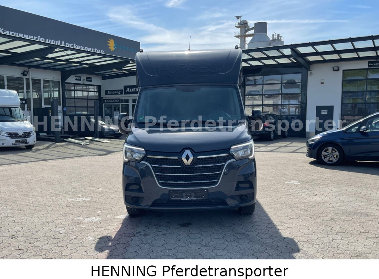 Renault Master 3 - Sitzer *Automatik* - Tiertransporter LKW: das Bild 2 Renault Master 3 - Sitzer *Automatik* - Tiertransporter LKW: das Bild 2