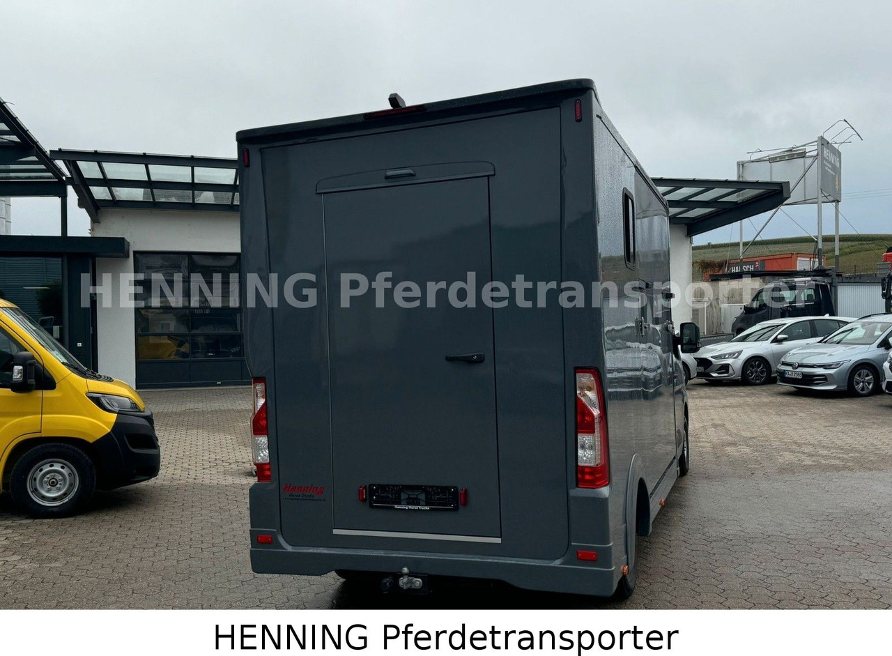 Renault Master 3 - Sitzer *NEUES MODELL* - Tiertransporter LKW: das Bild 3 Renault Master 3 - Sitzer *NEUES MODELL* - Tiertransporter LKW: das Bild 3