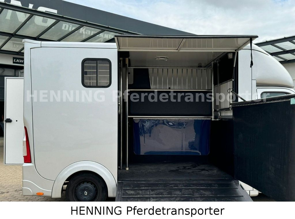 Renault Master 3 - Sitzer Renault Master 3 - Sitzer - Pferdetransporter: das Bild 5 Renault Master 3 - Sitzer Renault Master 3 - Sitzer - Pferdetransporter: das Bild 5