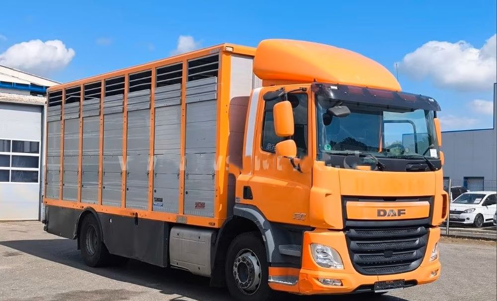 DAF CF 400 Menke Einstock | Transport zwierząt jednopoziomowy | 2 kratownice do bydła| Retarder | Euro 6 - Tiertransporter LKW: das Bild 5 DAF CF 400 Menke Einstock | Transport zwierząt jednopoziomowy | 2 kratownice do bydła| Retarder | Euro 6 - Tiertransporter LKW: das Bild 5