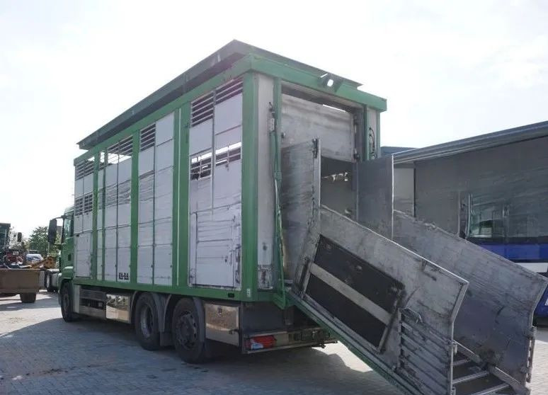 MAN TGS 26.440 ZABUDOWA KABA CAŁA ALUMINIOWA– samochód do transportu zwierząt/koni – 3 pokłady / EURO 5/6X2/PODNOSZONY DACH - Tiertransporter LKW: das Bild 4 MAN TGS 26.440 ZABUDOWA KABA CAŁA ALUMINIOWA– samochód do transportu zwierząt/koni – 3 pokłady / EURO 5/6X2/PODNOSZONY DACH - Tiertransporter LKW: das Bild 4