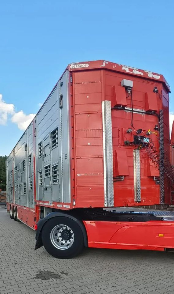 Pezzaioli 2017 / 3 POZIOMY / TRANSPORT ZWIERZĄT / HYDRAULIKA / STEROWANIE PILOTEM/ PODNOSZONY DACH / - Tiertransporter Auflieger: das Bild 2 Pezzaioli 2017 / 3 POZIOMY / TRANSPORT ZWIERZĄT / HYDRAULIKA / STEROWANIE PILOTEM/ PODNOSZONY DACH / - Tiertransporter Auflieger: das Bild 2