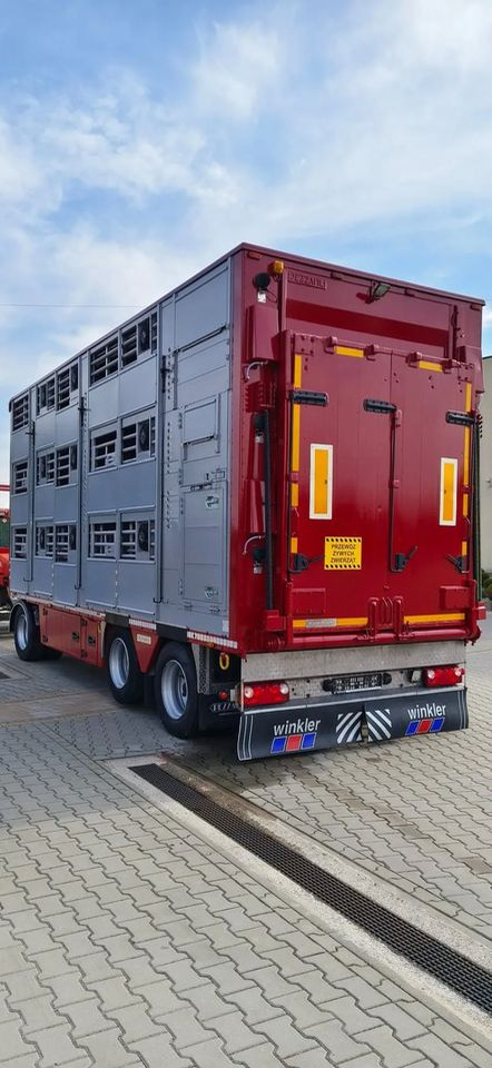 Pezzaioli RBA 32/TRZYOSIOWA PRZYCZEPA-2XBYDŁO,3X TRZODA - Tiertransporter Anhänger: das Bild 4 Pezzaioli RBA 32/TRZYOSIOWA PRZYCZEPA-2XBYDŁO,3X TRZODA - Tiertransporter Anhänger: das Bild 4