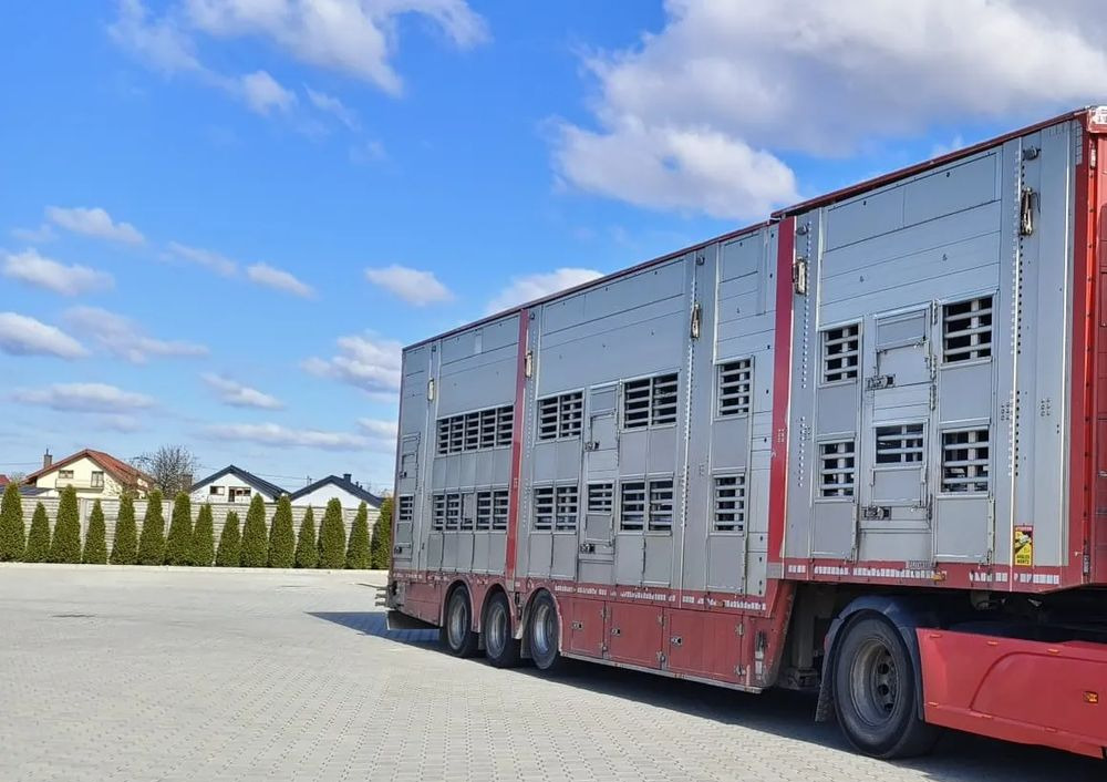 Pezzaioli SBA32/hydrauliczny dach/hydrauliczna rampa/ 3 poziomy/ 2xbydło -3xtrzoda/wentylatory/poidła/sterowanie pilotem - Tiertransporter Auflieger: das Bild 1 Pezzaioli SBA32/hydrauliczny dach/hydrauliczna rampa/ 3 poziomy/ 2xbydło -3xtrzoda/wentylatory/poidła/sterowanie pilotem - Tiertransporter Auflieger: das Bild 1