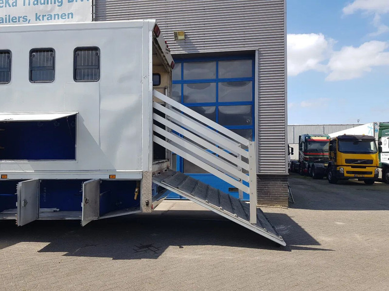 DAF 95.350 Paardenwagen met zitverblijf 7 paarden 7 horses - Pferdetransporter: das Bild 5 DAF 95.350 Paardenwagen met zitverblijf 7 paarden 7 horses - Pferdetransporter: das Bild 5