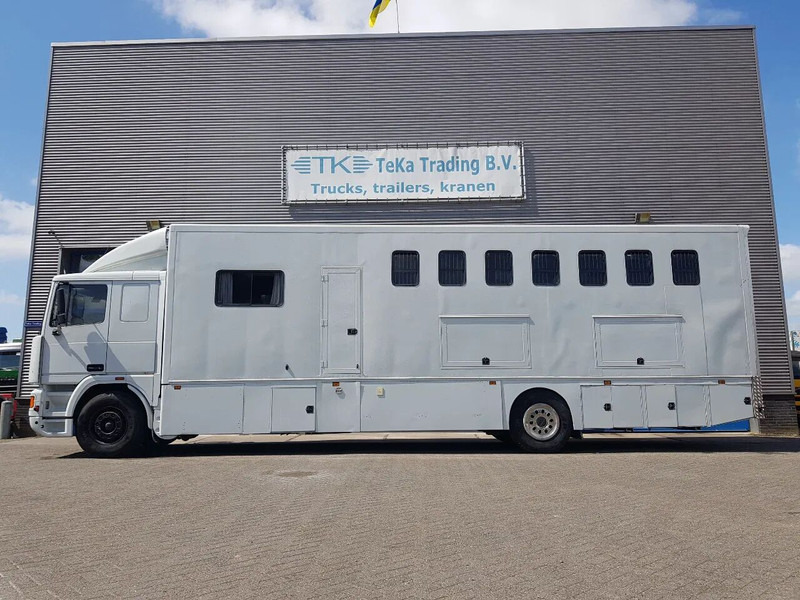DAF 95.350 Paardenwagen met zitverblijf 7 paarden 7 horses - Pferdetransporter: das Bild 3 DAF 95.350 Paardenwagen met zitverblijf 7 paarden 7 horses - Pferdetransporter: das Bild 3