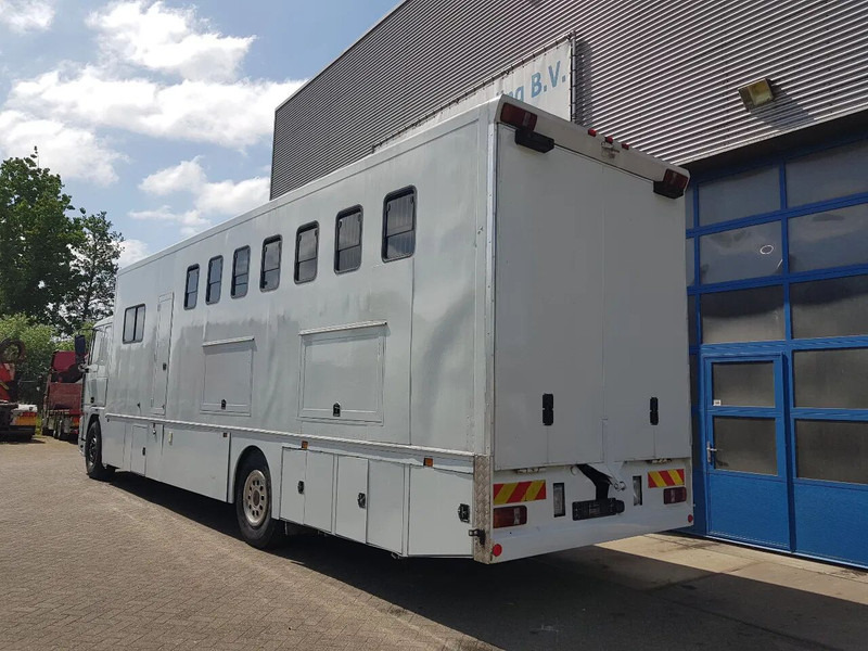DAF 95.350 Paardenwagen met zitverblijf 7 paarden 7 horses - Pferdetransporter: das Bild 4 DAF 95.350 Paardenwagen met zitverblijf 7 paarden 7 horses - Pferdetransporter: das Bild 4