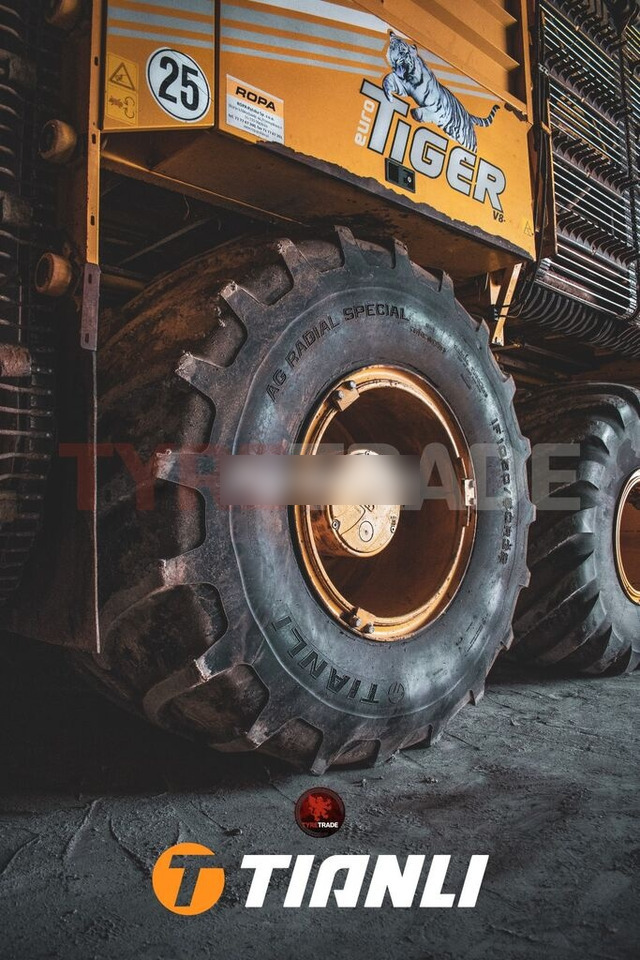 Tianli 750/65R26 (28LR26) AG RADIAL SPECIAL (AG-RS) 166A8/166B TL - Reifen für Traktor: das Bild 3 Tianli 750/65R26 (28LR26) AG RADIAL SPECIAL (AG-RS) 166A8/166B TL - Reifen für Traktor: das Bild 3