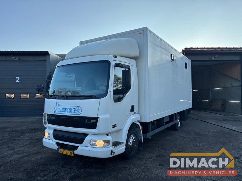 DAF FA LF45.150 4 paards, laadlift. Horsetruck NL truck - Pferdetransporter: das Bild 1 DAF FA LF45.150 4 paards, laadlift. Horsetruck NL truck - Pferdetransporter: das Bild 1