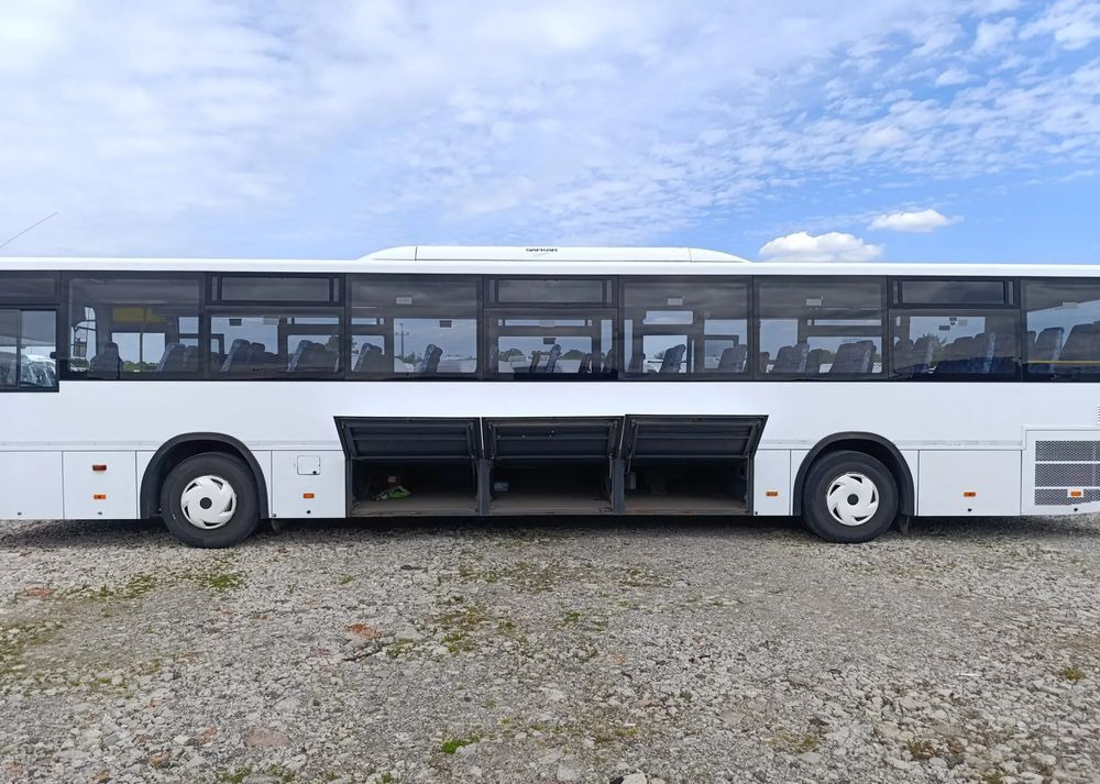 Überlandbus Temsa Tourmalin: das Bild 10