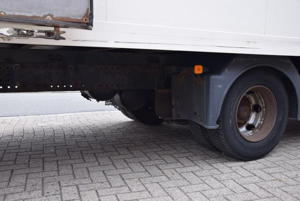 Koffer LKW MAN TGL 8.250 Koffer 6,10m Klima AHK Standh Tempomat: das Bild 13