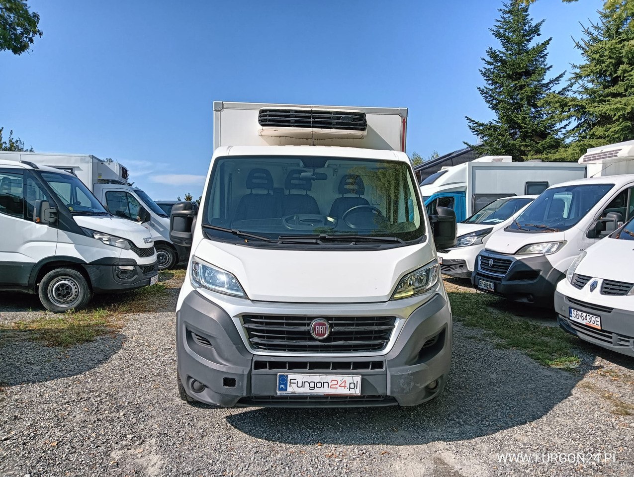 FIAT DUCATO KONTENER CHŁODNIA NR 783 - Kühltransporter: das Bild 2 FIAT DUCATO KONTENER CHŁODNIA NR 783 - Kühltransporter: das Bild 2