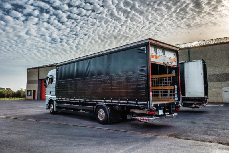 MAN TGX 18.400 XLX+HAYON - Plane LKW: das Bild 4 MAN TGX 18.400 XLX+HAYON - Plane LKW: das Bild 4