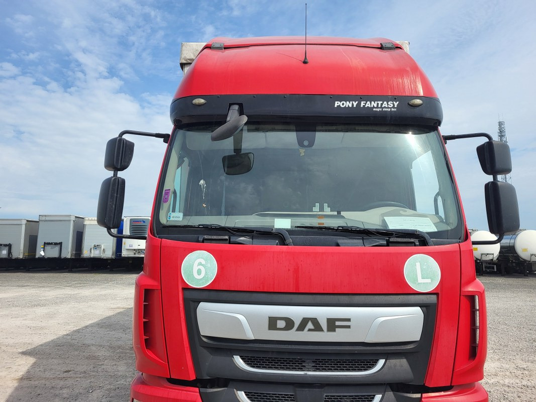 DAF LF SOLÓWKA - Plane LKW: das Bild 4 DAF LF SOLÓWKA - Plane LKW: das Bild 4