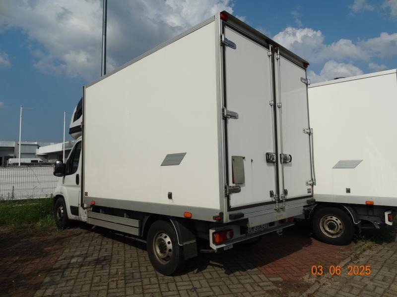 FIAT DUCATO CHŁODNIA/IZOTERMA - Kühltransporter: das Bild 3 FIAT DUCATO CHŁODNIA/IZOTERMA - Kühltransporter: das Bild 3