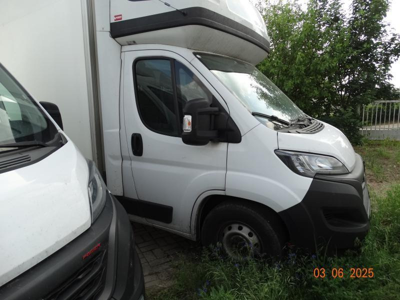 FIAT DUCATO CHŁODNIA/IZOTERMA - Kühltransporter: das Bild 1 FIAT DUCATO CHŁODNIA/IZOTERMA - Kühltransporter: das Bild 1