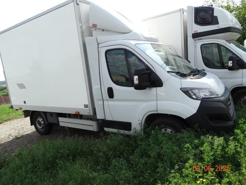 FIAT DUCATO CHŁODNIA/IZOTERMA - Kühltransporter: das Bild 1 FIAT DUCATO CHŁODNIA/IZOTERMA - Kühltransporter: das Bild 1