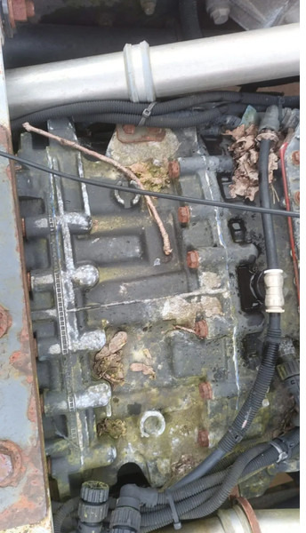 Renault Premium 420 Dci Engine + Automatic Gearbox - Motor für LKW: das Bild 5 Renault Premium 420 Dci Engine + Automatic Gearbox - Motor für LKW: das Bild 5