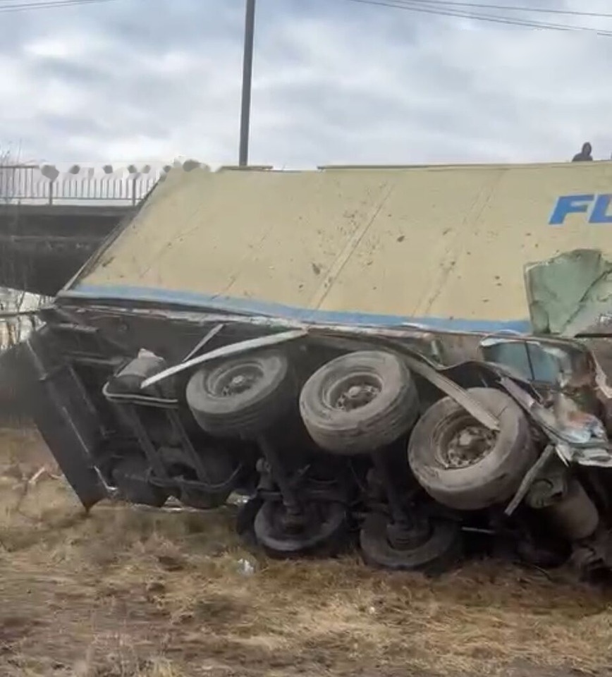 Schmitz Cargobull Original SCHMITZ FRIGO sasiu + documente ACTE - Isotherm Auflieger: das Bild 1 Schmitz Cargobull Original SCHMITZ FRIGO sasiu + documente ACTE - Isotherm Auflieger: das Bild 1