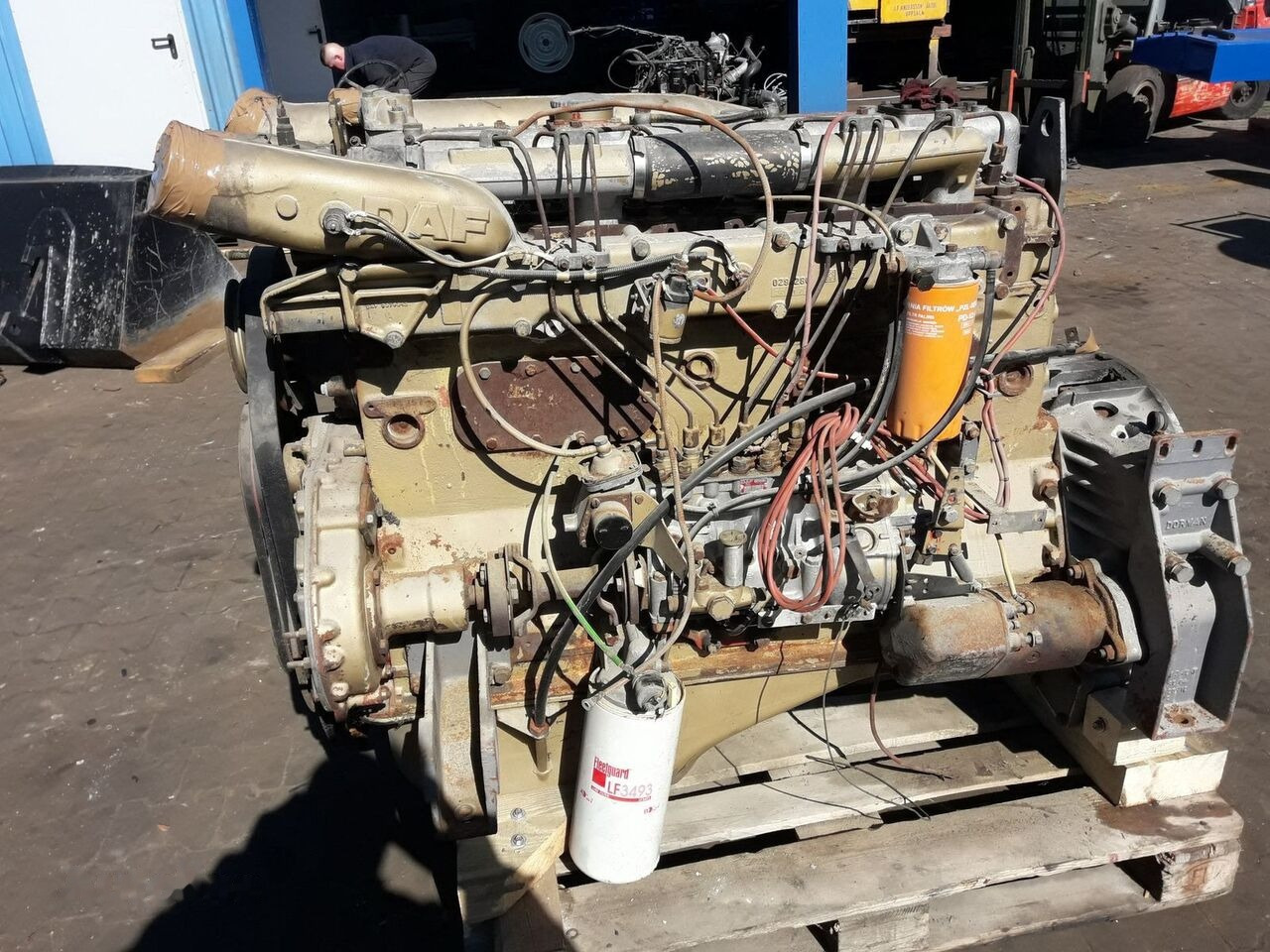 DAF WS282 ATI DAF 95 - Motor für LKW: das Bild 1 DAF WS282 ATI DAF 95 - Motor für LKW: das Bild 1