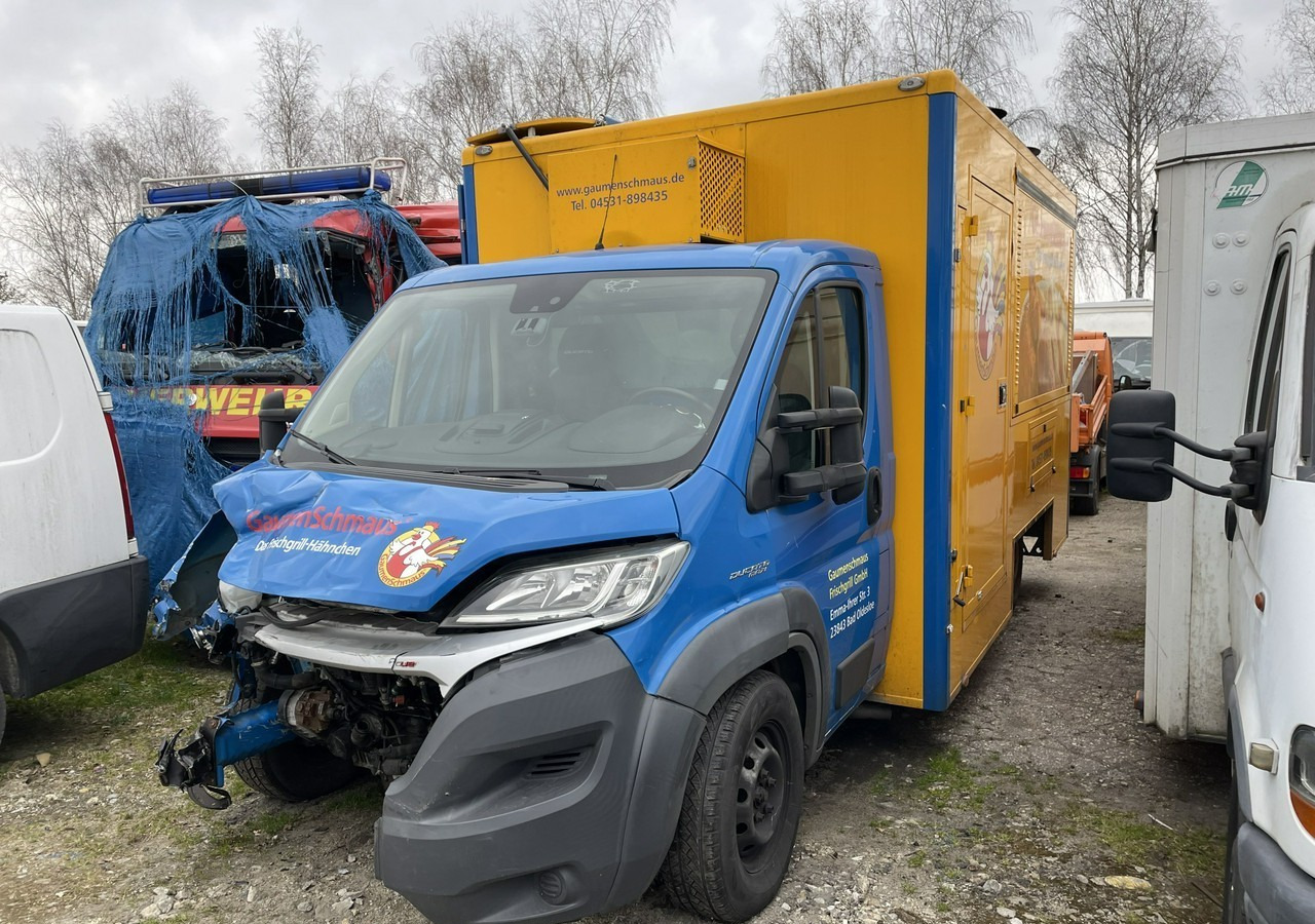 Fiat Ducato Ducato Autogrill Autosklep Foodtruck food truck Gastronomiczny 2018 - Verkaufsfahrzeug: das Bild 2 Fiat Ducato Ducato Autogrill Autosklep Foodtruck food truck Gastronomiczny 2018 - Verkaufsfahrzeug: das Bild 2