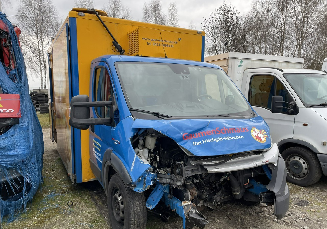 Fiat Ducato Ducato Autogrill Autosklep Foodtruck food truck Gastronomiczny 2018 - Verkaufsfahrzeug: das Bild 4 Fiat Ducato Ducato Autogrill Autosklep Foodtruck food truck Gastronomiczny 2018 - Verkaufsfahrzeug: das Bild 4