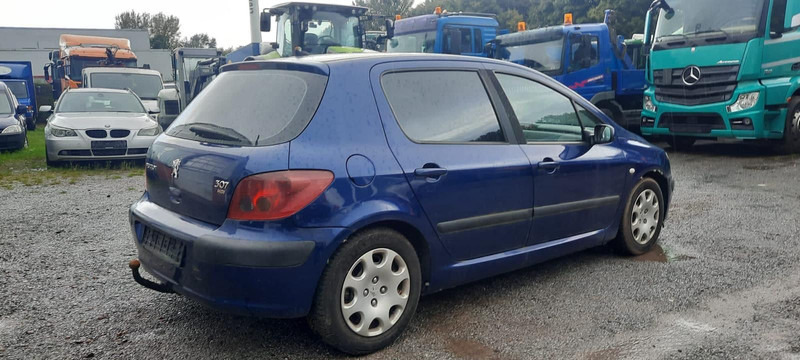 Peugeot 307 Grand Filou - Schrägheck: das Bild 3 Peugeot 307 Grand Filou - Schrägheck: das Bild 3