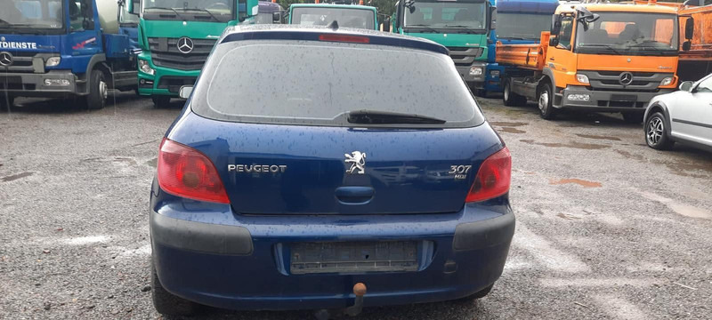 Peugeot 307 Grand Filou - Schrägheck: das Bild 4 Peugeot 307 Grand Filou - Schrägheck: das Bild 4