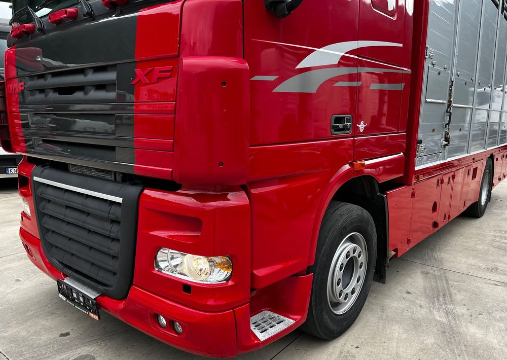 DAF XF 105.460 Euro 5 // Manual // Retarder // Do Żywca / Bydła / Zwierząt / - Tiertransporter LKW: das Bild 4 DAF XF 105.460 Euro 5 // Manual // Retarder // Do Żywca / Bydła / Zwierząt / - Tiertransporter LKW: das Bild 4
