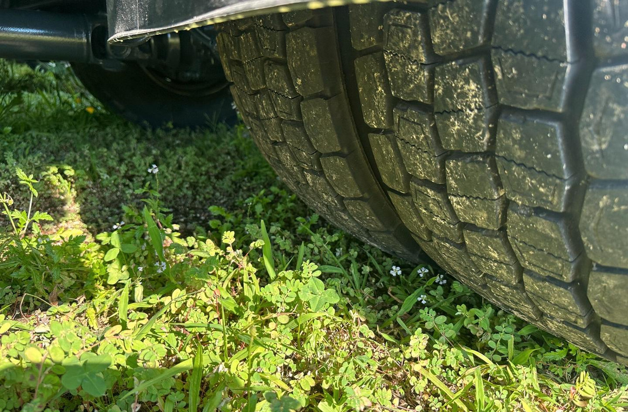 Kühlkoffer LKW Iveco: das Bild 11