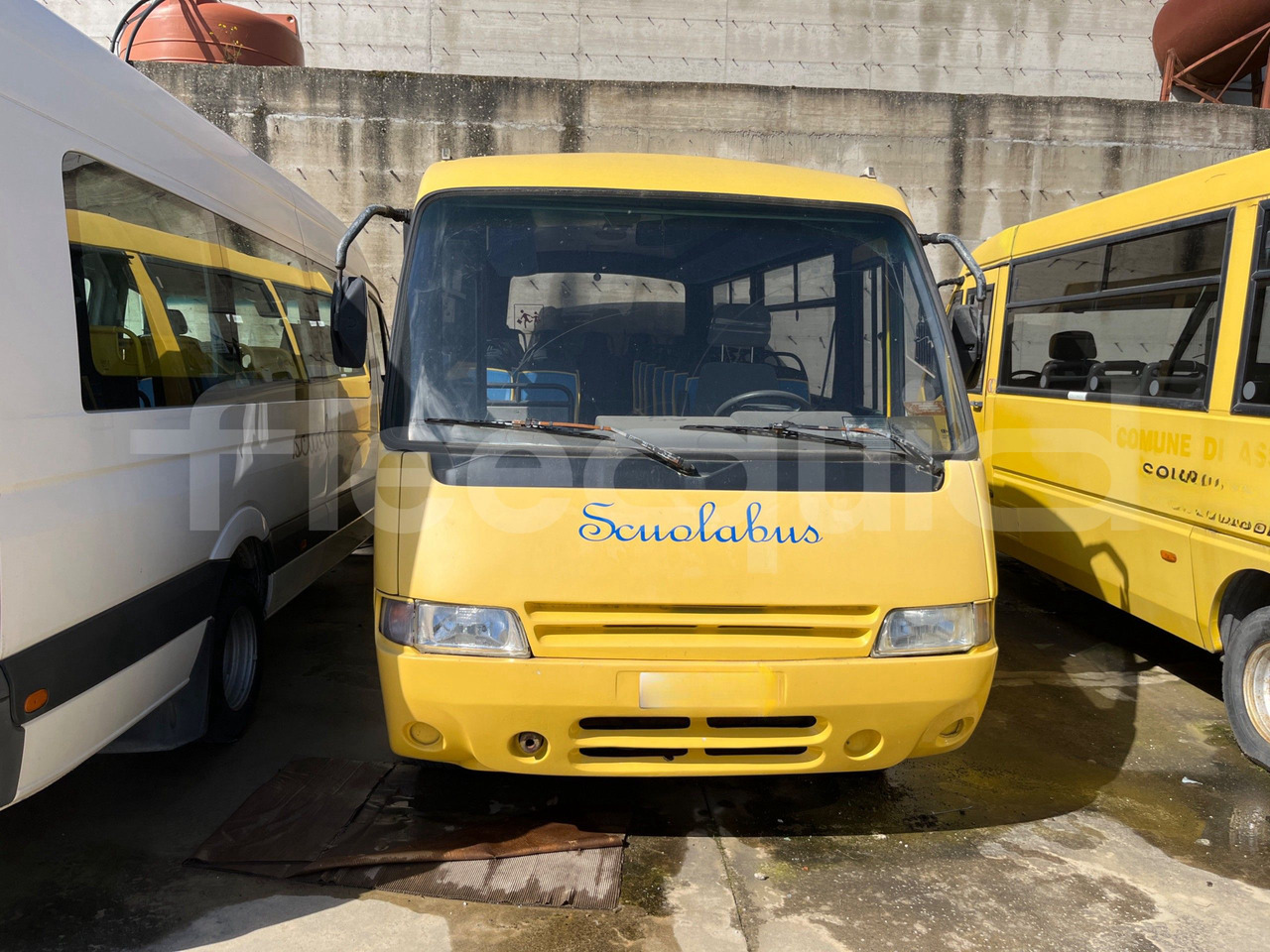 Schulbus Bundle di 4 mezzi Iveco - Cacciamali Fiat - Coriasco Iveco - Cacciamali Iveco - Cacciamali: das Bild 14