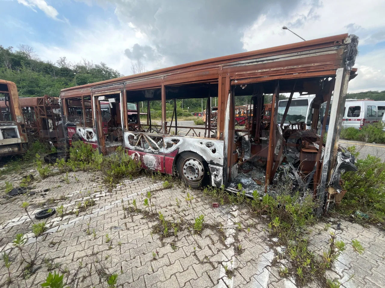 Bundle di 7 mezzi Iveco - Citelis Iveco - Citelis Iveco - Citelis Iveco - Citelis Iveco - Citelis Iveco - Citelis Iveco - Citelis - Linienbus: das Bild 3 Bundle di 7 mezzi Iveco - Citelis Iveco - Citelis Iveco - Citelis Iveco - Citelis Iveco - Citelis Iveco - Citelis Iveco - Citelis - Linienbus: das Bild 3