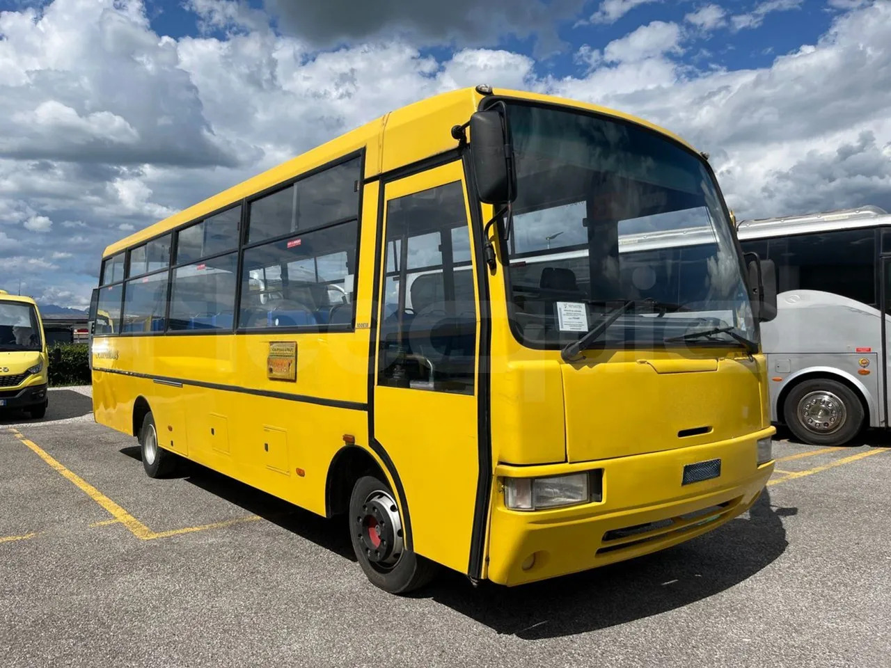 Schulbus Iveco Cacciamali: das Bild 1