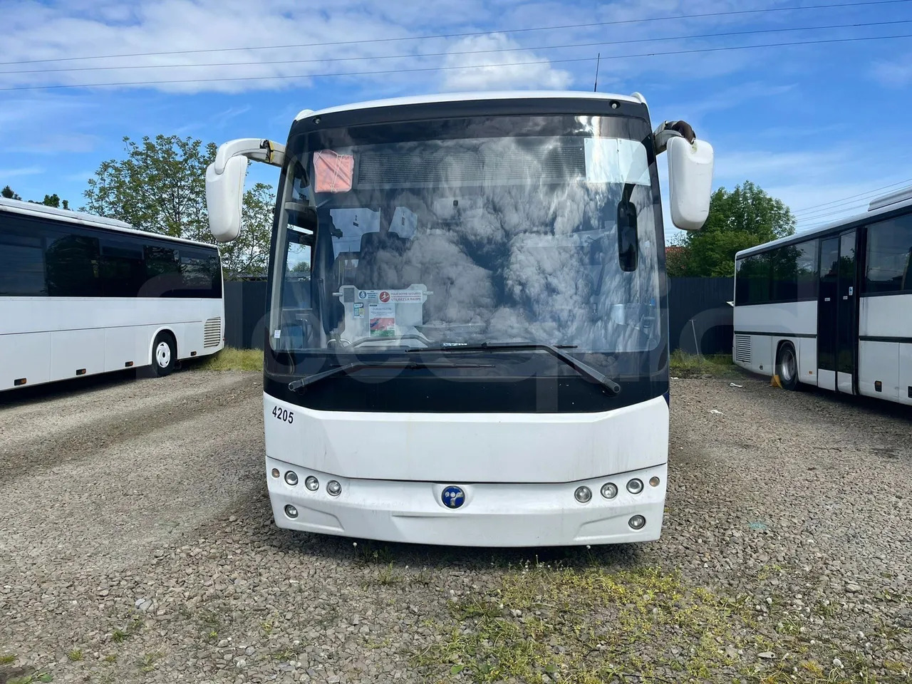 Temsa Safari - Linienbus: das Bild 1 Temsa Safari - Linienbus: das Bild 1