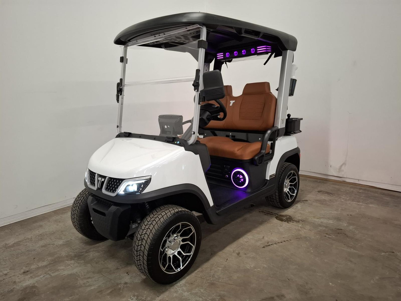 BSN TARA Elektrische 2-zits Golfcar 2025 - Golfmobil: das Bild 1 BSN TARA Elektrische 2-zits Golfcar 2025 - Golfmobil: das Bild 1