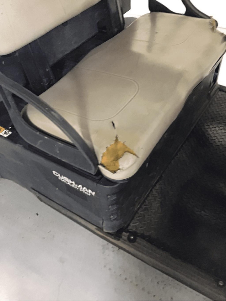 Cushman Hauler Pro 3409096 - Golfmobil: das Bild 2 Cushman Hauler Pro 3409096 - Golfmobil: das Bild 2
