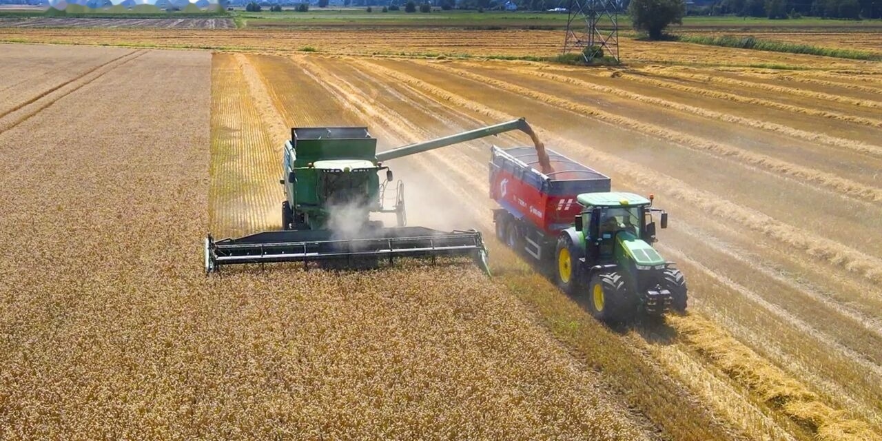 Metal-Fach Przyczepa skorupowa tandem T935/1 – 18t - Landwirtschaftlicher Anhänger: das Bild 2 Metal-Fach Przyczepa skorupowa tandem T935/1 – 18t - Landwirtschaftlicher Anhänger: das Bild 2